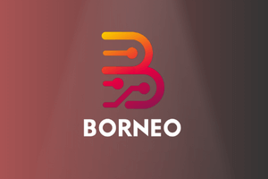 Borneo 1 User License 6 Months 